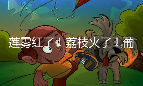 甘甜夏季同样圈粉无数