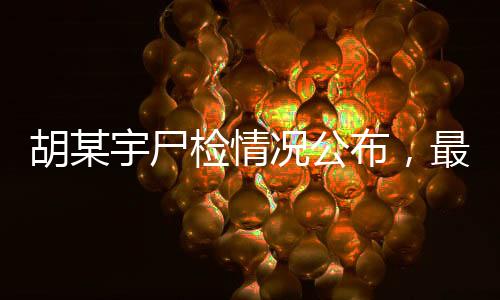 通报胡某宇事件调查情况