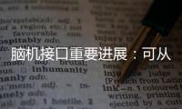 脑机接口重要进展：可从微细血管获得神经信号