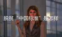 脱贫“中国标准”是怎样制定的？ 下一步怎么走？