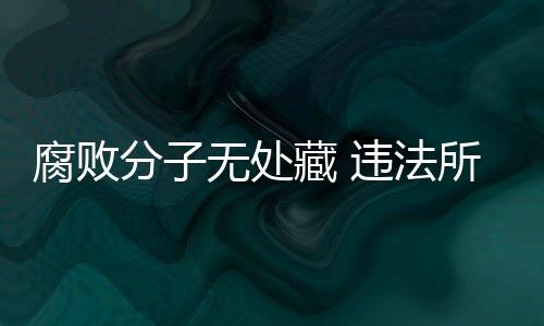 处藏对赖小民判处并执行死刑