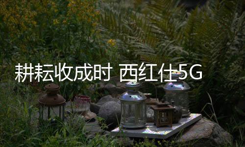 红仕消费者的成功关注