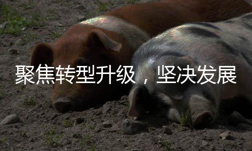 华金证券进一步强化精细运营