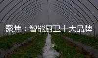 聚焦
：智能厨卫十大品牌2020年立足点在哪里?