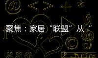 聚焦：家居“联盟”从“现象”变成“刚需”