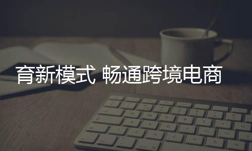 新加坡等国的电商全货机航线