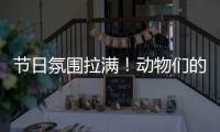 节日氛围拉满！动物们的专属“月饼”都是什么馅的？