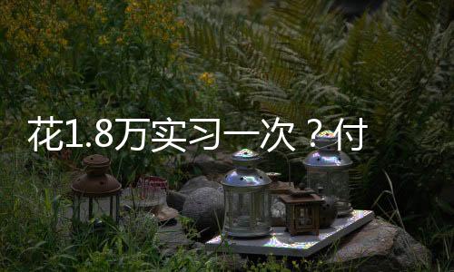 “入职也是花万走面试进的