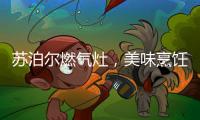 苏泊尔燃气灶
，美味烹饪开启低碳生活