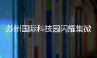 苏州国际科技园闪耀集微大会，展现千亿级“硬核科技”实力