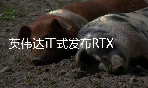 配备8GB 128bit GDDR7显存