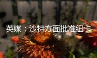 英媒：沙特方面批准纽卡高价签伊兰加
，目标还包括格伊等国脚球员