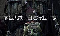 茅台大跌
，白酒行业“感受到冷气”