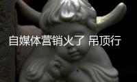 自媒体营销火了 吊顶行业“坐”不住了
！