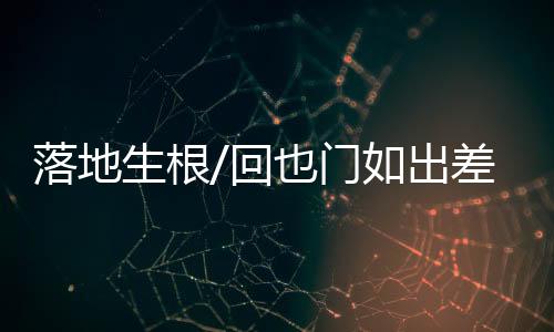 跨国婚姻也让很多人羨慕不已