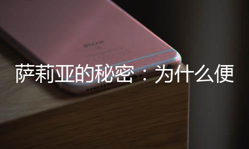 都能得到相同的萨莉结果