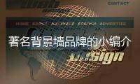 著名背景墙品牌的小编介绍八种背景墙材料