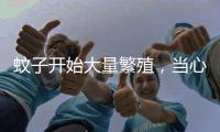 蚊子开始大量繁殖，当心流行性乙型脑炎这种传染病