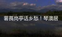 薯莨岗亭话乡愁
！琴澳居民共绘客家风情画卷