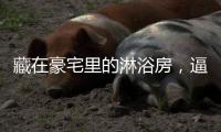 藏在豪宅里的淋浴房，逼格简直不要太高……