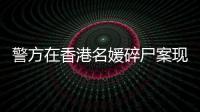 警方在香港名媛碎尸案现场发现其前婆婆DNA！庭审情况曝光