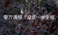 警方通报“渝北一学生被人贩子针扎后昏迷”
：嫌疑人已被刑拘