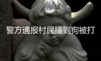 警方通报村民撞到狗被打
：5名嫌疑人到案 犬主曾任村干部