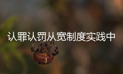 从宽将这一制度不断引向深化