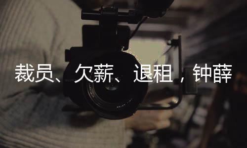 欠薪起钟薛高诞生于2018年