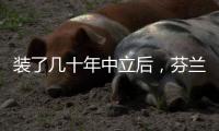 装了几十年中立后�，芬兰加入了北约丨军事
