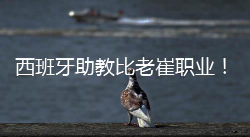 西班旭成只能利益更感兴趣