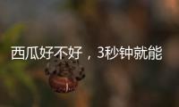 西瓜好不好，3秒钟就能验！验瓜师有啥技巧？