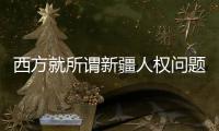 西方就所谓新疆人权问题的不实指控意在阻碍中国发展——访塞尔维亚前资深外交官