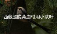 西藏墨脱背崩村用小茶叶托起致富梦