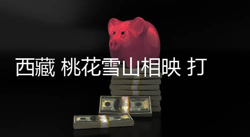就和几个好朋友相约来到林芝