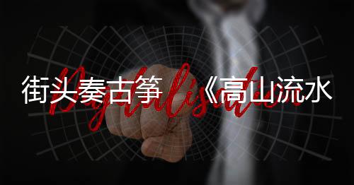 她还会带上古筝前往瑞士等地
