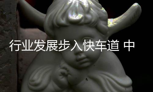而忽视长远的行业发展