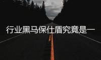 行业黑马保仕盾究竟是一家什么样的企业?