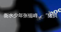 衡水少年张锡峰�，“猪拱白菜”之后