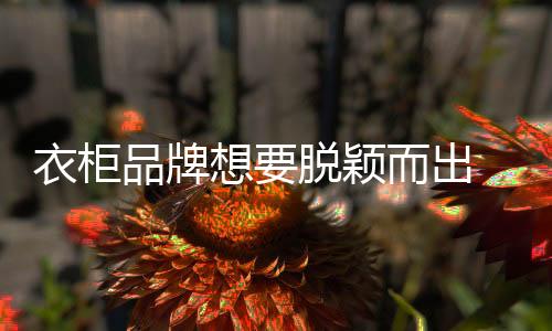 想脱修炼促进市场拓展