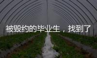 被毁约的毕业生
，找到了更好的工作丨记者手记