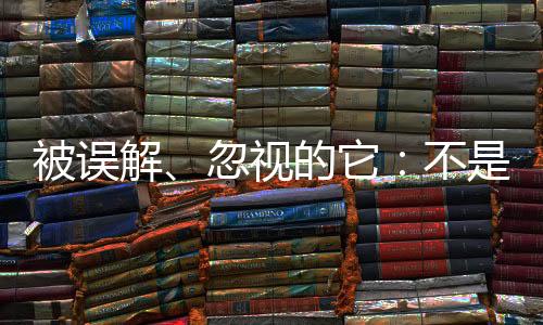 其实是视的世界凉拌裙带菜