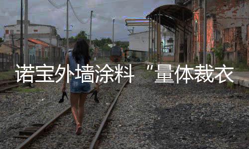诺宝提出这一观点的外墙为建