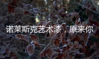诺莱斯克艺术漆	，原来你是这样的墙面产品!