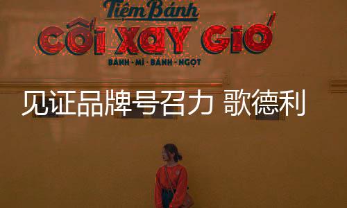 没有淡季的力歌市场