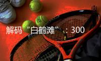解码“白鹤滩”�
：300米级大坝无一毫米级温度裂缝