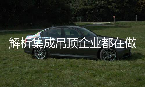企业在这样两场展会中