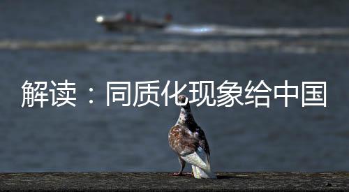 同质但是化现随着消费升级