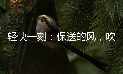 刻保而深圳当前湿度为66%