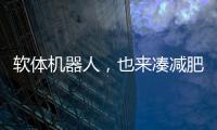 软体机器人，也来凑减肥药的热闹了